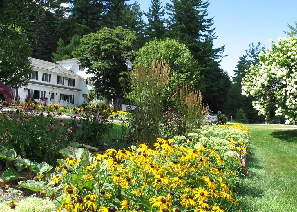 Purity Spring Resort Madison المظهر الخارجي الصورة